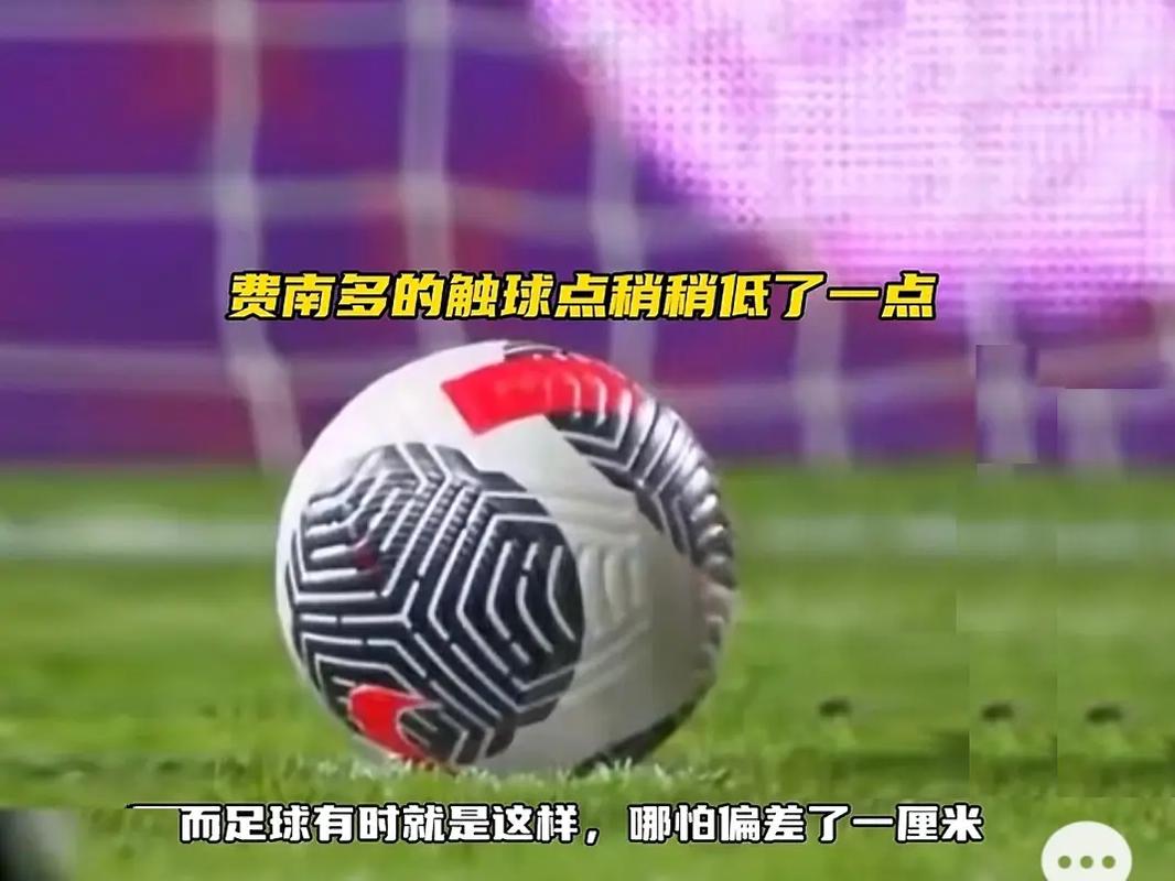 参赛队的主